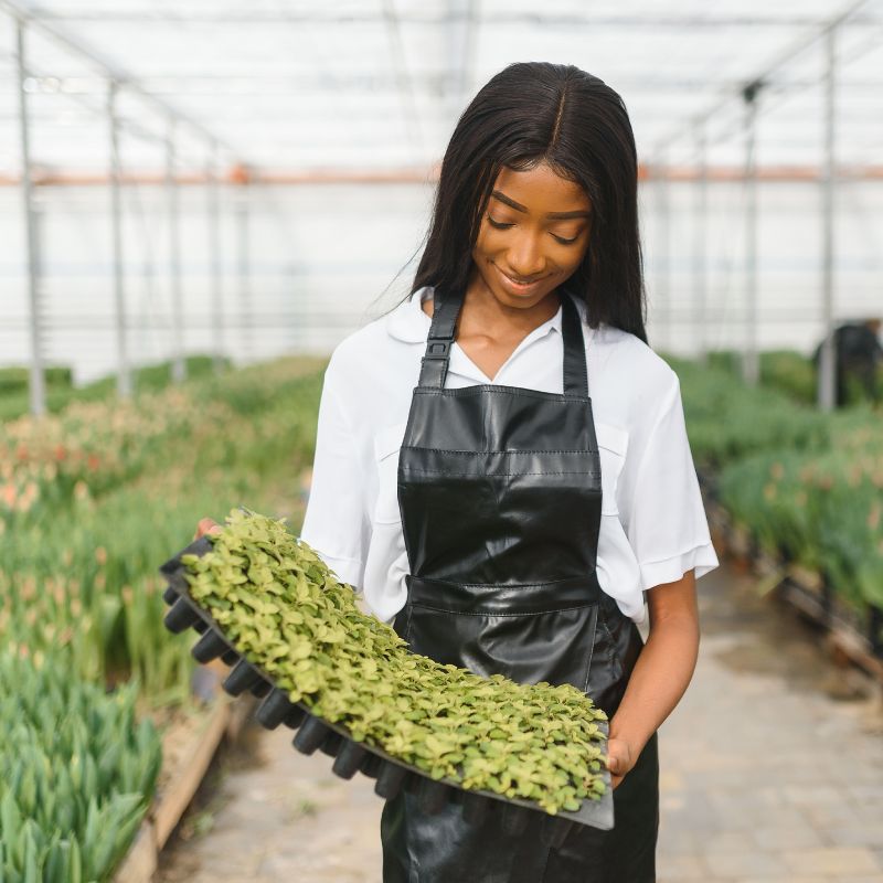 Lab-tested cannabis products with nationwide shipping